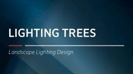 FX Luminaire Training | Lighting Trees