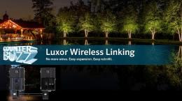 Luxor Wireless Linking Module Counter Buzz